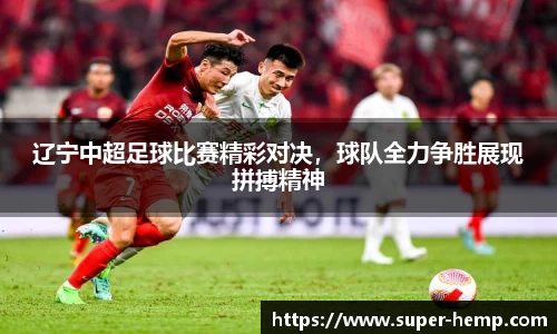 辽宁中超足球比赛精彩对决，球队全力争胜展现拼搏精神
